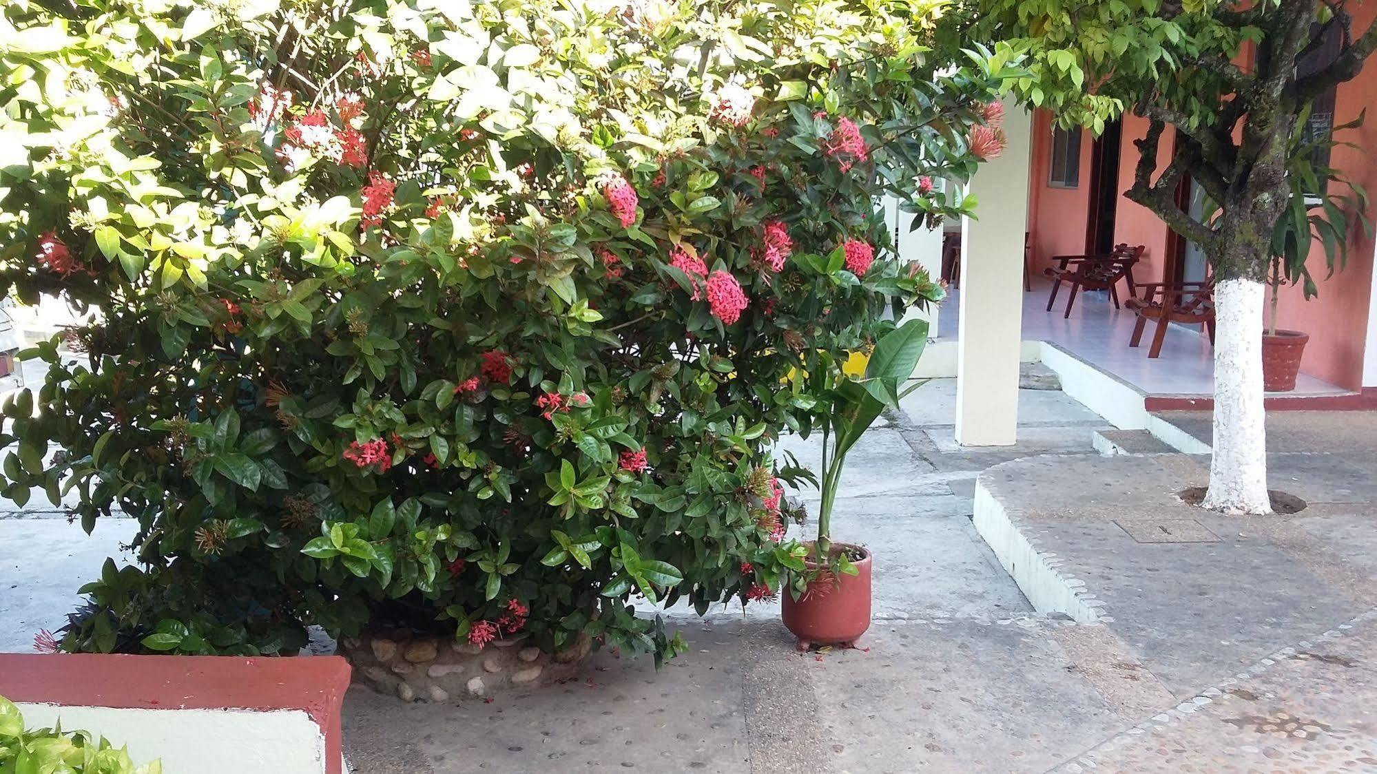 Hotel Mallorca Palenque Eksteriør billede